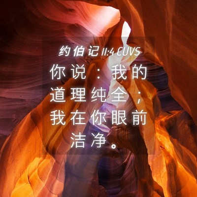 Picture 04 - 约 伯 记 11:4 CUVS - 你 说 ： 我 的 道 理 纯 全 ； 我 在 - Bible Verse Picture