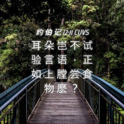 Picture 04 - 约 伯 记 12:11 CUVS - 耳 朵 岂 不 试 验 言 语 ， 正 如 上 - Bible Verse Picture