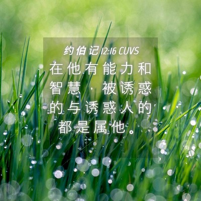 Picture 04 - 约 伯 记 12:16 CUVS - 在 他 有 能 力 和 智 慧 ， 被 诱 惑 - Bible Verse Picture