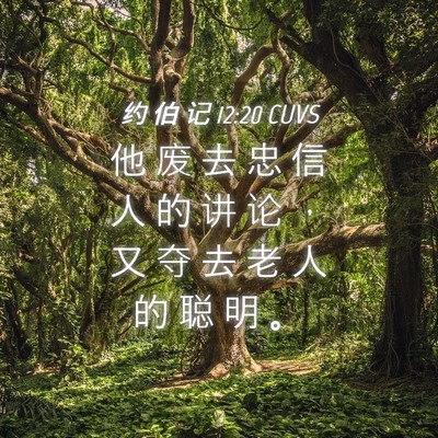 Picture 04 - 约 伯 记 12:20 CUVS - 他 废 去 忠 信 人 的 讲 论 ， 又 夺 - Bible Verse Picture