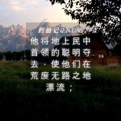 Picture 04 - 约 伯 记 12:24 CUVS - 他 将 地 上 民 中 首 领 的 聪 明 夺 - Bible Verse Picture