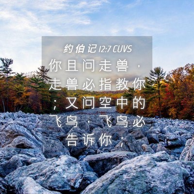 Picture 04 - 约 伯 记 12:7 CUVS - 你 且 问 走 兽 ， 走 兽 必 指 教 你 - Bible Verse Picture