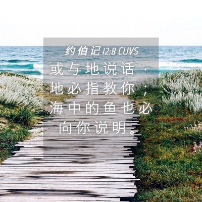 Picture 04 - 约 伯 记 12:8 CUVS - 或 与 地 说 话 ， 地 必 指 教 你 ； - Bible Verse Picture