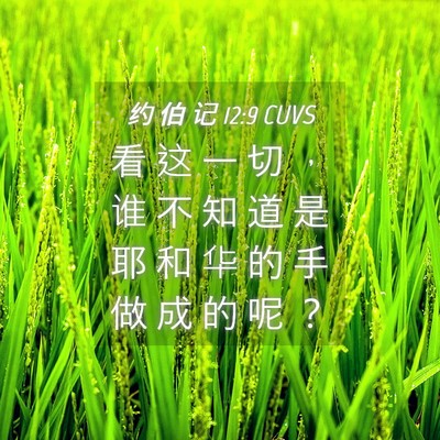Picture 04 - 约 伯 记 12:9 CUVS - 看 这 一 切 ， 谁 不 知 道 是 耶 和 - Bible Verse Picture