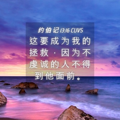 Picture 04 - 约 伯 记 13:16 CUVS - 这 要 成 为 我 的 拯 救 ， 因 为 不 - Bible Verse Picture