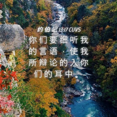 Picture 04 - 约 伯 记 13:17 CUVS - 你 们 要 细 听 我 的 言 语 ， 使 我 - Bible Verse Picture