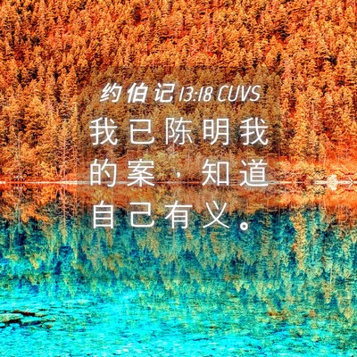 Picture 04 - 约 伯 记 13:18 CUVS - 我 已 陈 明 我 的 案 ， 知 道 自 己 - Bible Verse Picture