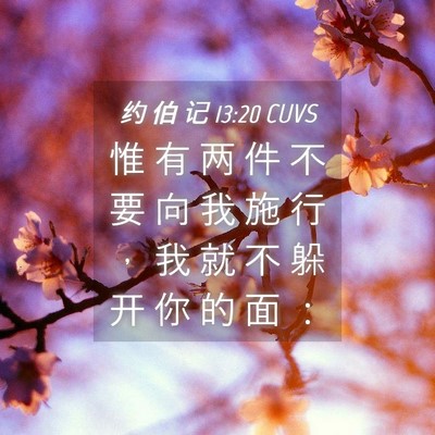 Picture 04 - 约 伯 记 13:20 CUVS - 惟 有 两 件 不 要 向 我 施 行 ， 我 - Bible Verse Picture