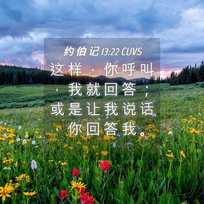 Picture 04 - 约 伯 记 13:22 CUVS - 这 样 ， 你 呼 叫 ， 我 就 回 答 ； - Bible Verse Picture