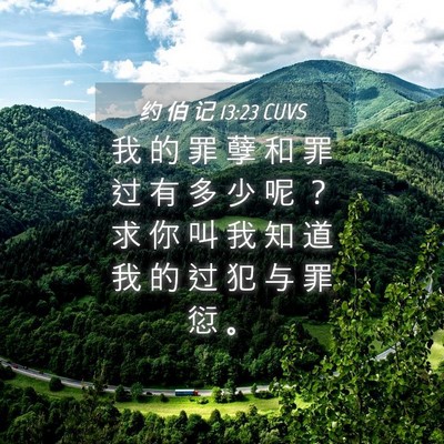 Picture 04 - 约 伯 记 13:23 CUVS - 我 的 罪 孽 和 罪 过 有 多 少 呢 ？ - Bible Verse Picture