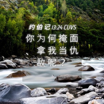Picture 04 - 约 伯 记 13:24 CUVS - 你 为 何 掩 面 、 拿 我 当 仇 敌 呢 - Bible Verse Picture