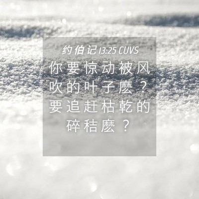 Picture 04 - 约 伯 记 13:25 CUVS - 你 要 惊 动 被 风 吹 的 叶 子 麽 ？ - Bible Verse Picture