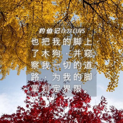 Picture 04 - 约 伯 记 13:27 CUVS - 也 把 我 的 脚 上 了 木 狗 ， 并 窥 - Bible Verse Picture