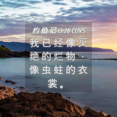 Picture 04 - 约 伯 记 13:28 CUVS - 我 已 经 像 灭 绝 的 烂 物 ， 像 虫 - Bible Verse Picture