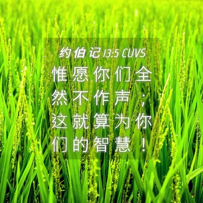 Picture 04 - 约 伯 记 13:5 CUVS - 惟 愿 你 们 全 然 不 作 声 ； 这 就 - Bible Verse Picture