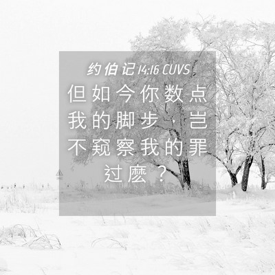 Picture 04 - 约 伯 记 14:16 CUVS - 但 如 今 你 数 点 我 的 脚 步 ， 岂 - Bible Verse Picture