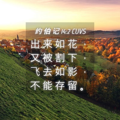 Picture 04 - 约 伯 记 14:2 CUVS - 出 来 如 花 ， 又 被 割 下 ， 飞 去 - Bible Verse Picture
