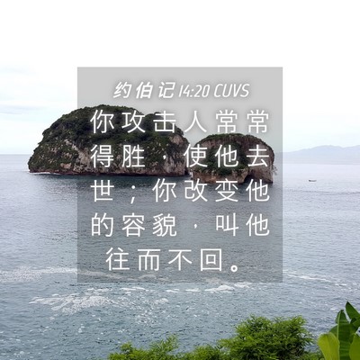 Picture 04 - 约 伯 记 14:20 CUVS - 你 攻 击 人 常 常 得 胜 ， 使 他 去 - Bible Verse Picture