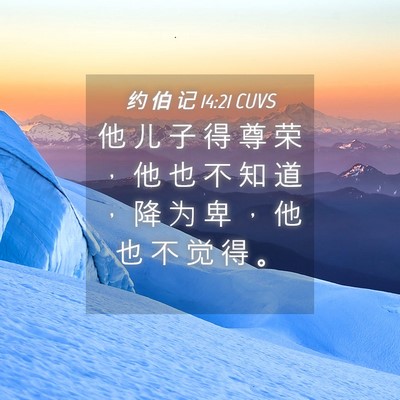 Picture 04 - 约 伯 记 14:21 CUVS - 他 儿 子 得 尊 荣 ， 他 也 不 知 道 - Bible Verse Picture
