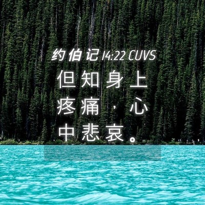 Picture 04 - 约 伯 记 14:22 CUVS - 但 知 身 上 疼 痛 ， 心 中 悲 哀 - Bible Verse Picture