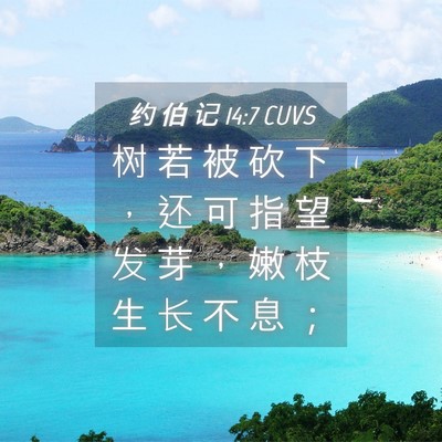 Picture 04 - 约 伯 记 14:7 CUVS - 树 若 被 砍 下 ， 还 可 指 望 发 芽 - Bible Verse Picture