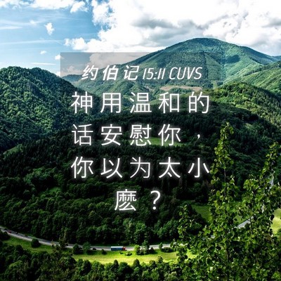Picture 04 - 约 伯 记 15:11 CUVS - 神 用 温 和 的 话 安 慰 你 ， 你 以 - Bible Verse Picture
