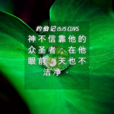 Picture 04 - 约 伯 记 15:15 CUVS - 神 不 信 靠 他 的 众 圣 者 ； 在 他 - Bible Verse Picture