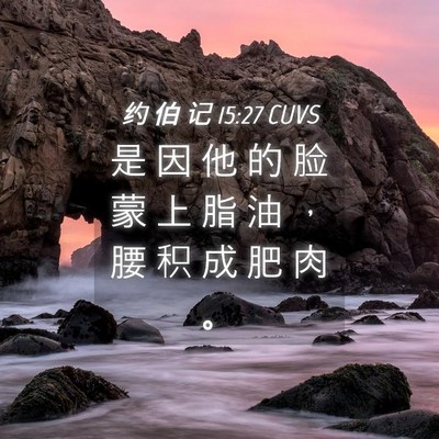 Picture 04 - 约 伯 记 15:27 CUVS - 是 因 他 的 脸 蒙 上 脂 油 ， 腰 积 - Bible Verse Picture