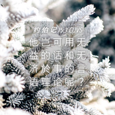 Picture 04 - 约 伯 记 15:3 CUVS - 他 岂 可 用 无 益 的 话 和 无 济 於 - Bible Verse Picture