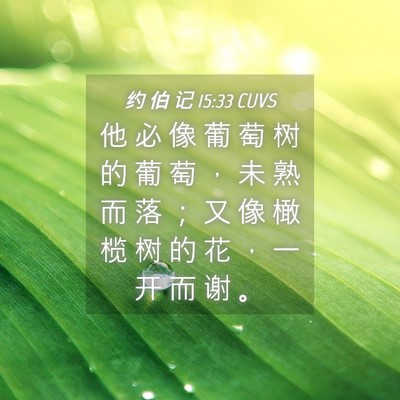 Picture 04 - 约 伯 记 15:33 CUVS - 他 必 像 葡 萄 树 的 葡 萄 ， 未 熟 - Bible Verse Picture