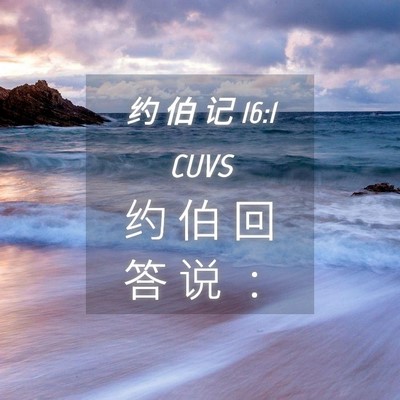 Picture 04 - 约 伯 记 16:1 CUVS - 约 伯 回 答 说 - Bible Verse Picture