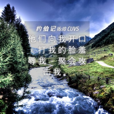 Picture 04 - 约 伯 记 16:10 CUVS - 他 们 向 我 开 口 ， 打 我 的 脸 羞 - Bible Verse Picture