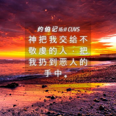 Picture 04 - 约 伯 记 16:11 CUVS - 神 把 我 交 给 不 敬 虔 的 人 ， 把 - Bible Verse Picture