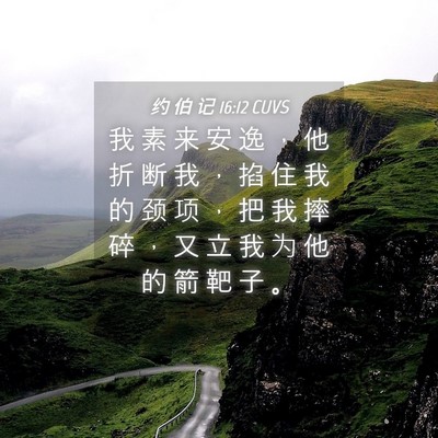Picture 04 - 约 伯 记 16:12 CUVS - 我 素 来 安 逸 ， 他 折 断 我 ， 掐 - Bible Verse Picture