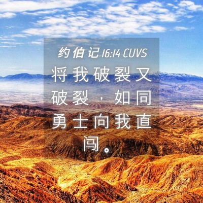Picture 04 - 约 伯 记 16:14 CUVS - 将 我 破 裂 又 破 裂 ， 如 同 勇 士 - Bible Verse Picture