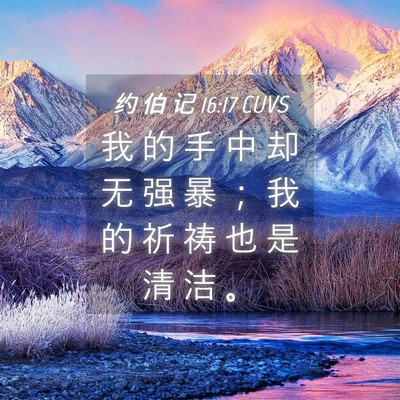 Picture 04 - 约 伯 记 16:17 CUVS - 我 的 手 中 却 无 强 暴 ； 我 的 祈 - Bible Verse Picture