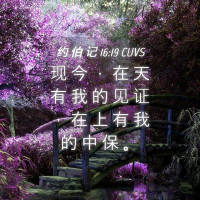Picture 04 - 约 伯 记 16:19 CUVS - 现 今 ， 在 天 有 我 的 见 证 ， 在 - Bible Verse Picture
