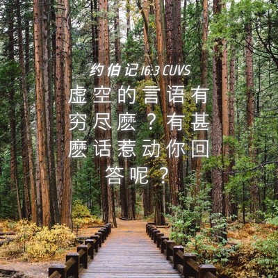 Picture 04 - 约 伯 记 16:3 CUVS - 虚 空 的 言 语 有 穷 尽 麽 ？ 有 甚 - Bible Verse Picture