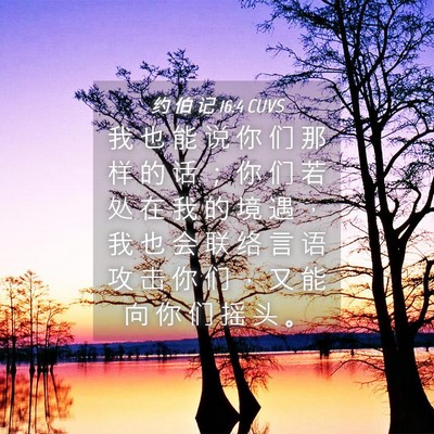 Picture 04 - 约 伯 记 16:4 CUVS - 我 也 能 说 你 们 那 样 的 话 ； 你 - Bible Verse Picture