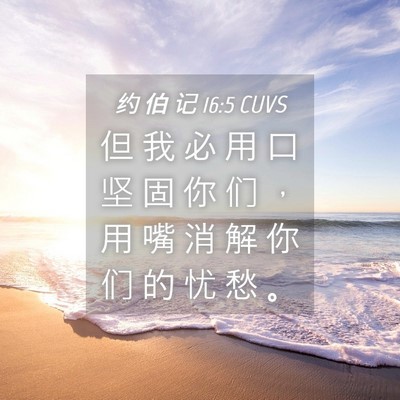 Picture 04 - 约 伯 记 16:5 CUVS - 但 我 必 用 口 坚 固 你 们 ， 用 嘴 - Bible Verse Picture