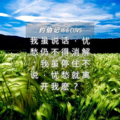 Picture 04 - 约 伯 记 16:6 CUVS - 我 虽 说 话 ， 忧 愁 仍 不 得 消 解 - Bible Verse Picture