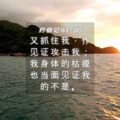 Picture 04 - 约 伯 记 16:8 CUVS - 又 抓 住 我 ， 作 见 证 攻 击 我 ； - Bible Verse Picture