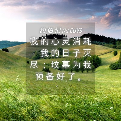 Picture 04 - 约 伯 记 17:1 CUVS - 我 的 心 灵 消 耗 ， 我 的 日 子 灭 - Bible Verse Picture