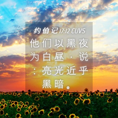 Picture 04 - 约 伯 记 17:12 CUVS - 他 们 以 黑 夜 为 白 昼 ， 说 ： 亮 - Bible Verse Picture