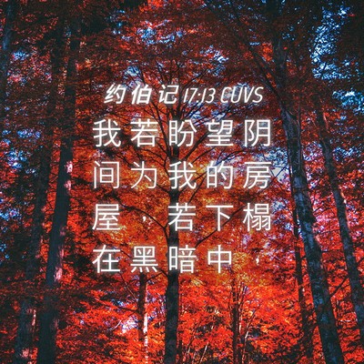 Picture 04 - 约 伯 记 17:13 CUVS - 我 若 盼 望 阴 间 为 我 的 房 屋 ， - Bible Verse Picture