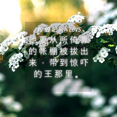Picture 04 - 约 伯 记 18:14 CUVS - 他 要 从 所 倚 靠 的 帐 棚 被 拔 出 - Bible Verse Picture