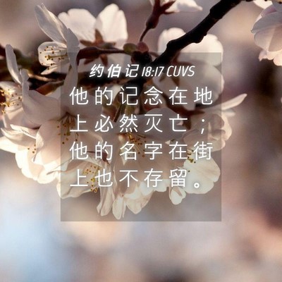 Picture 04 - 约 伯 记 18:17 CUVS - 他 的 记 念 在 地 上 必 然 灭 亡 ； - Bible Verse Picture