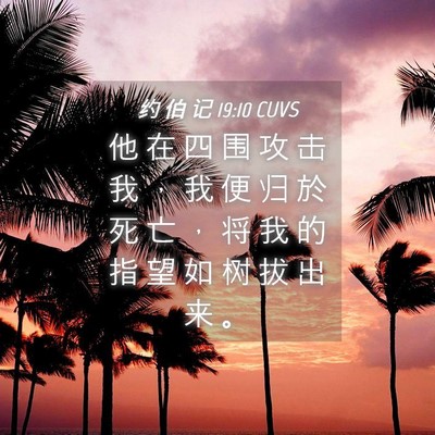 Picture 04 - 约 伯 记 19:10 CUVS - 他 在 四 围 攻 击 我 ， 我 便 归 於 - Bible Verse Picture