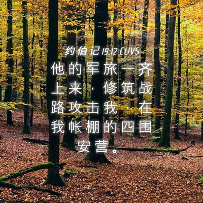 Picture 04 - 约 伯 记 19:12 CUVS - 他 的 军 旅 一 齐 上 来 ， 修 筑 战 - Bible Verse Picture