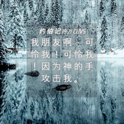 Picture 04 - 约 伯 记 19:21 CUVS - 我 朋 友 啊 ， 可 怜 我 ！ 可 怜 我 - Bible Verse Picture